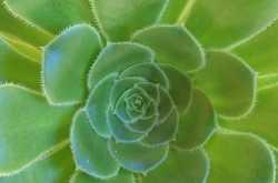 गुबार ए दिल