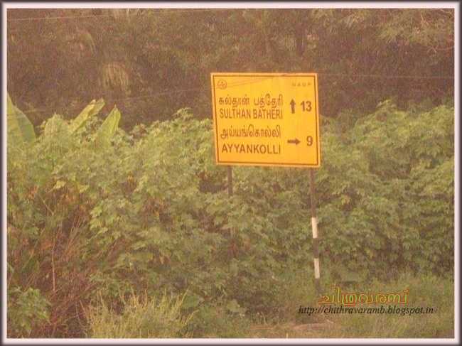 കോബ്രയുടെ നാട്ടില് 