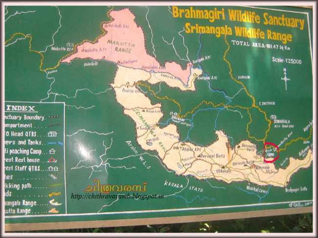 ഇറുപ്പു വെള്ളച്ചാട്ടം - കൊഡഗ്