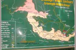 ഇറുപ്പു വെള്ളച്ചാട്ടം - കൊഡഗ്