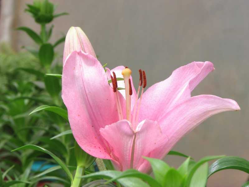 आदतें....!