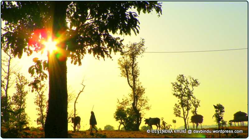 क्यामेरा साथभी  गवाँरा नही…..