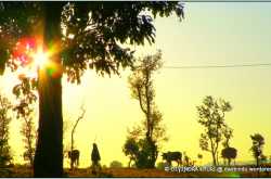 क्यामेरा साथभी  गवाँरा नही…..