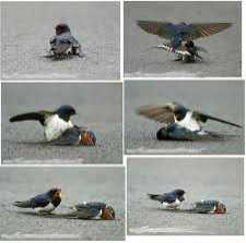 മനസാക്ഷി 