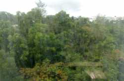 बरसो रे मेघा-मेघा...बरसो रे, मेघा बरसो