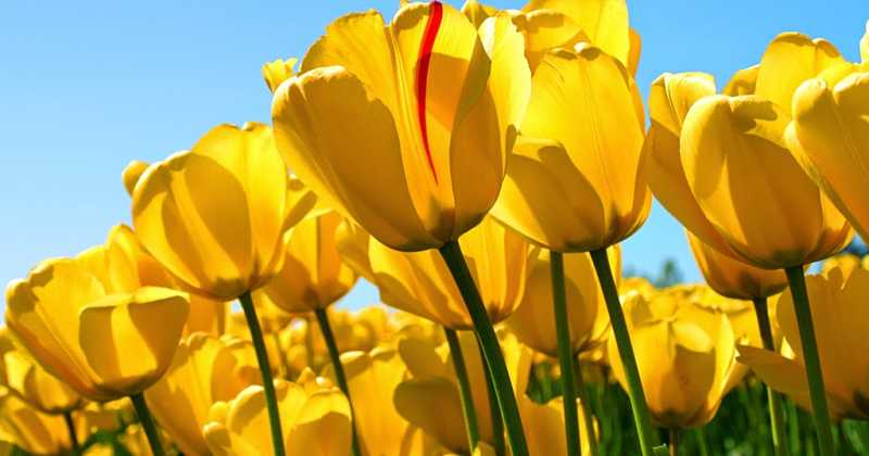 धैर्य की परीक्षा - एक प्रेरक कथा