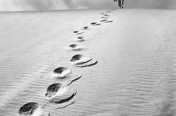 कभी न पूरी हो सकने वाली जिद्द