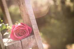 ప్రేమే లేదూ.........