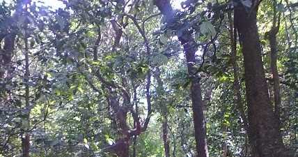 மறுஜென்மம்