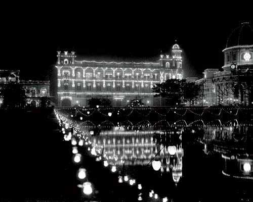 চ্যাপ্টা গোলাপ 