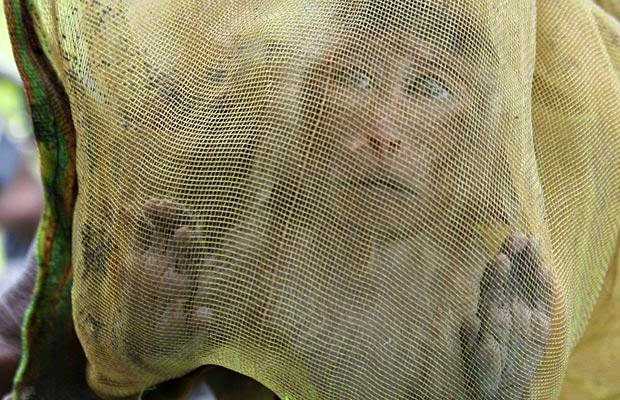 एक मदारी की जीत