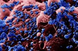 ലാഘവമരുത്..ഭീകരനാണു അവൻ കൊടും ഭീകരൻ