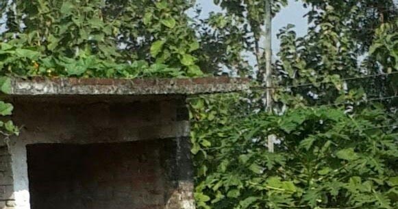 जीवन : एक दृष्टिकोण 