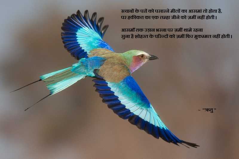 à¤¶à¥à¤¹à¤°à¤¤ à¤à¥ à¤ªà¤°à¤¿à¤à¤¦à¥ 