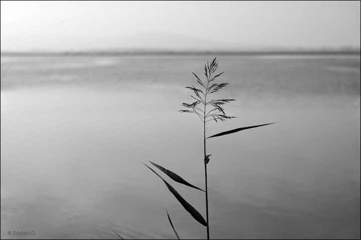 मैं और मेरी तन्हाई 