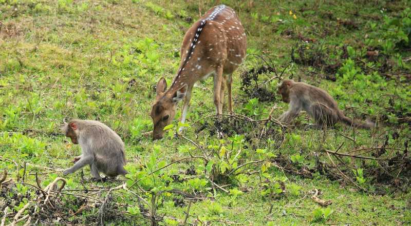 ಇರುವ ಭಾಗ್ಯವ ನೆನೆದು