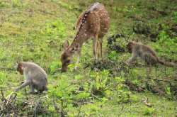 ಇರುವ ಭಾಗ್ಯವ ನೆನೆದು