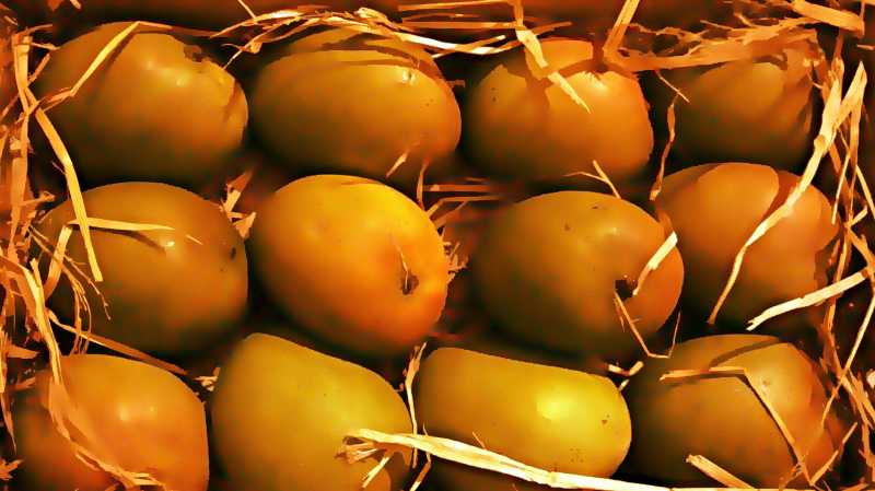 à¤à¤à¤¬à¥ à¤ªà¥à¤°à¥à¤£à¤¿à¤®à¤¾... 