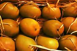 à¤à¤à¤¬à¥ à¤ªà¥à¤°à¥à¤£à¤¿à¤®à¤¾... 