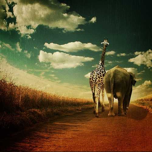 కలల ప్రపంచం