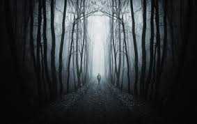 വലിയ ആള്