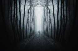 വലിയ ആള്