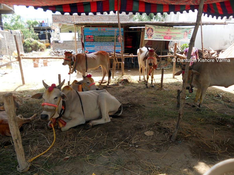 పుష్కరాలు @ యానం