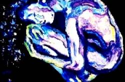 ‘অনুভূতিনামা’