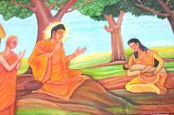 सरसों के दाने