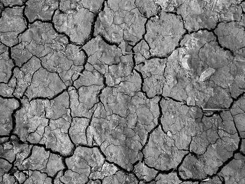 दरिया दिया और प्यासे रहे • वीरांश | वीर की कलम से