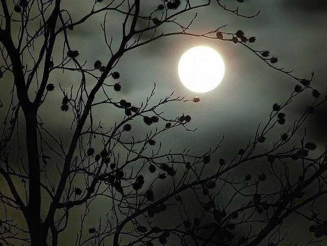 मासूम चाँद भी