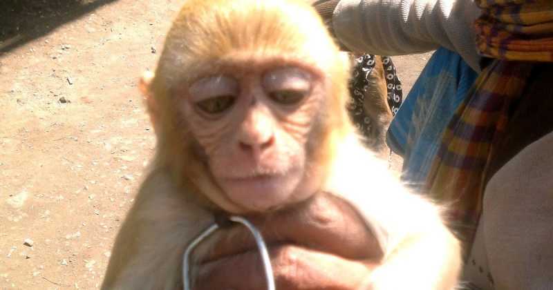 à¤¬à¤à¤¦à¤°à¥à¤ à¤à¤¾ à¤à¤¤à¤à¤à¥¤ 