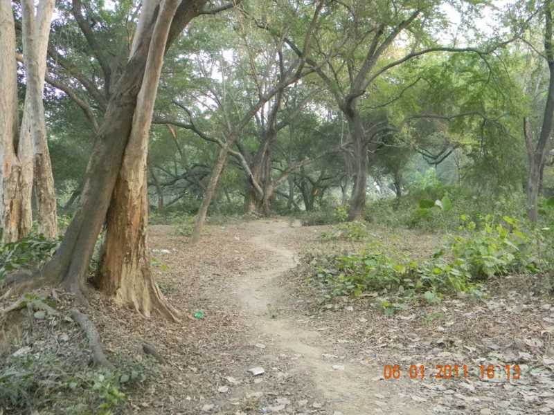 पगडंडी...