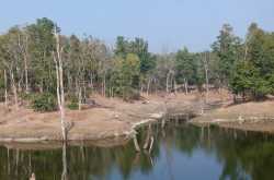 तुम्हे \