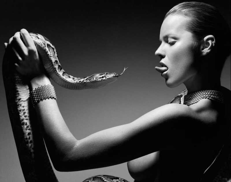 कैसे काम करता है सांप का ज़हर ?