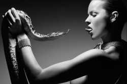 कैसे काम करता है सांप का ज़हर ?