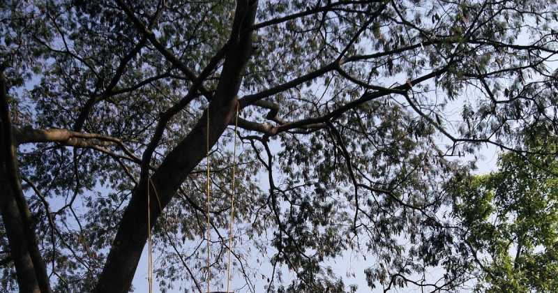 à¤²à¤¾à¤²à¥à¤à¥ à¤à¥à¤·à¥à¤