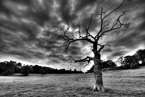 तू गेल्यावर असे हरवले सुर - शांताराम नांदगावकर