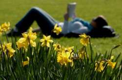 टिक टिक वाजते डोक्यात - दुनियादारी 