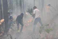 ग्राफिक एरा की टीमों ने जंगलों की आग बुझाई