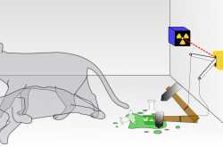 ഷ്രോഡിഞ്ജറുടെ പൂച്ച