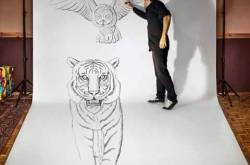 बेहतरीन थ्री डी चित्रकारी 