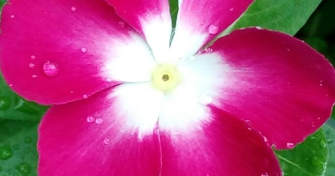 प्रकृति से सुन्दर कुछ भी नहीं