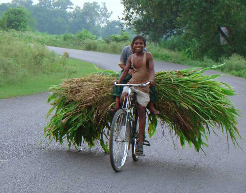 बचपन के रंग - फोटो अजित भाई के फेसबुक वाल से.