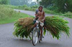 बचपन के रंग - फोटो अजित भाई के फेसबुक वाल से.