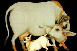 *वसुबारस*