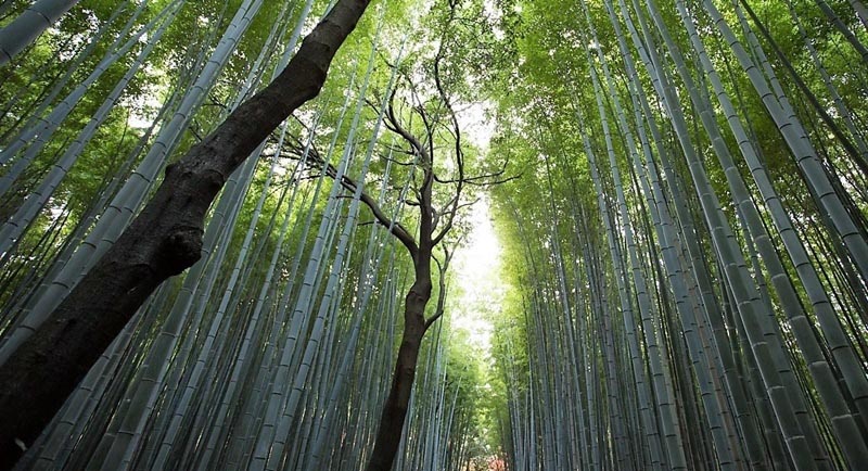 धूप के नोट!