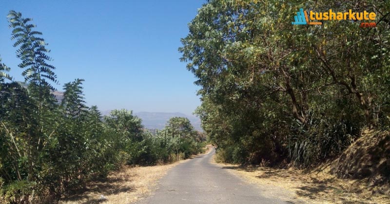 माणकेश्वर: एका भग्न शिवालयाची गोष्ट...