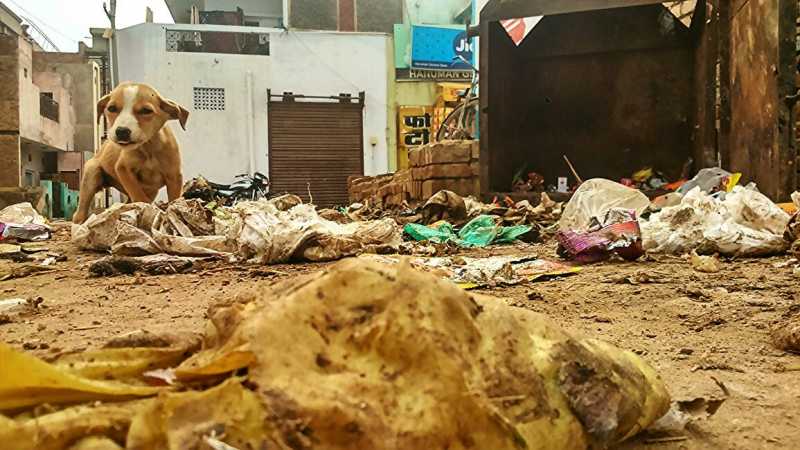 कचरा पात्र से फैल रही गंदगी !