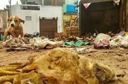 कचरा पात्र से फैल रही गंदगी !